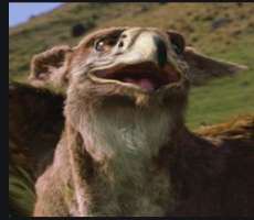 Apart from acting, Rhodes has done various voice r Apart from acting, Rhodes has done various voice roles including the voice of Gryphon in the film